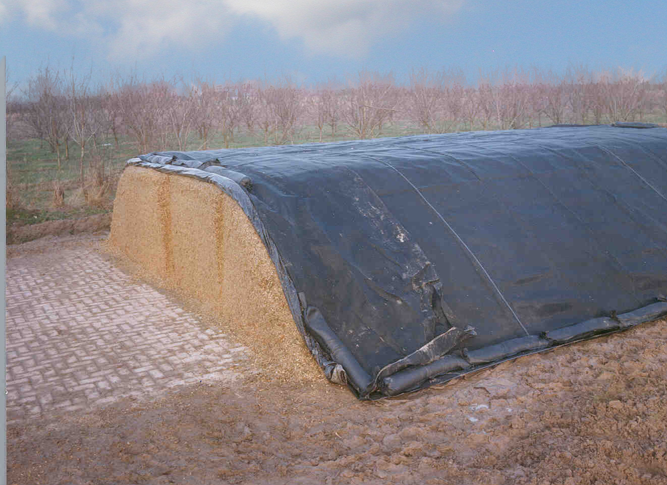 Toile d'ensilage
